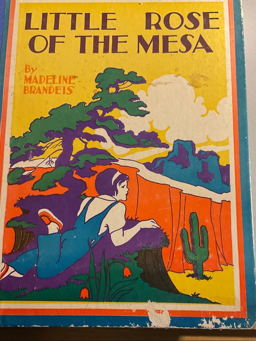 Little Rose of the Mesa Illustrated Cover — Bright Multicolor Vintage Art